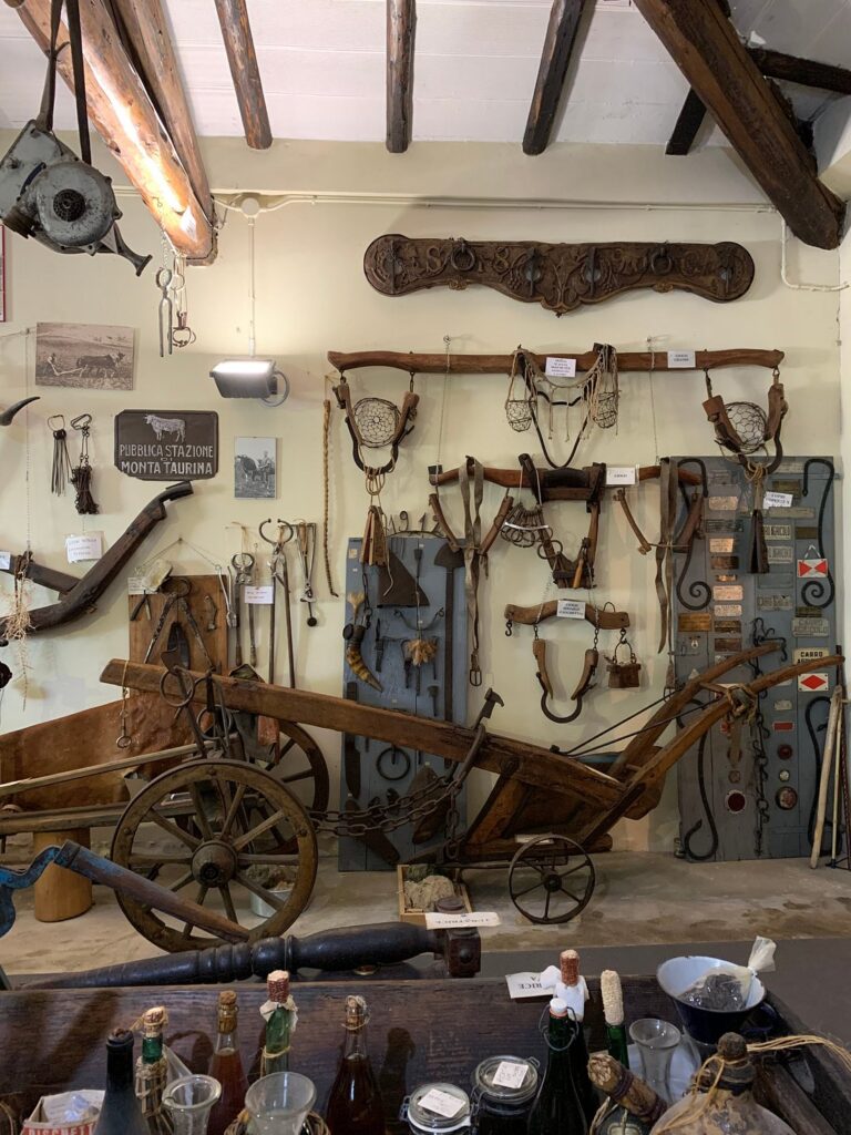 museo
